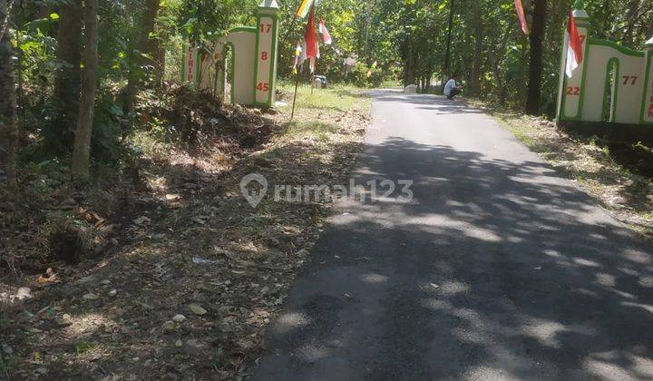 Dijual Tanah Murah Suasana Alam Pedesaan Utara Bandara Yogyakarta 4