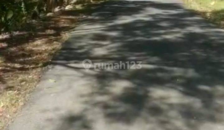 Dijual Tanah Murah Suasana Alam Pedesaan Utara Bandara Yogyakarta 12