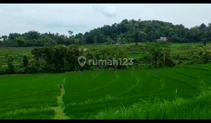Dijual Tanah Sangat Murah Dekat Daerah Wisata Alam Kulonprogo Yogyakarta 3