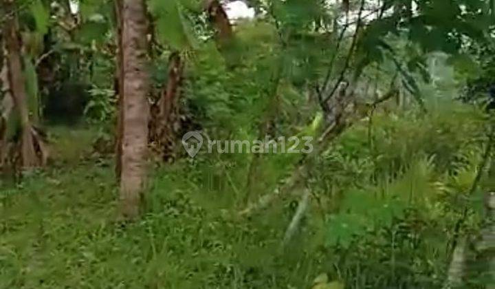 Dijual Tanah Sangat Murah Dekat Daerah Wisata Alam Kulonprogo Yogyakarta 5