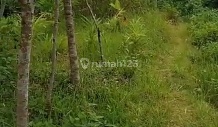 Dijual Tanah Sangat Murah Dekat Daerah Wisata Alam Kulonprogo Yogyakarta 6