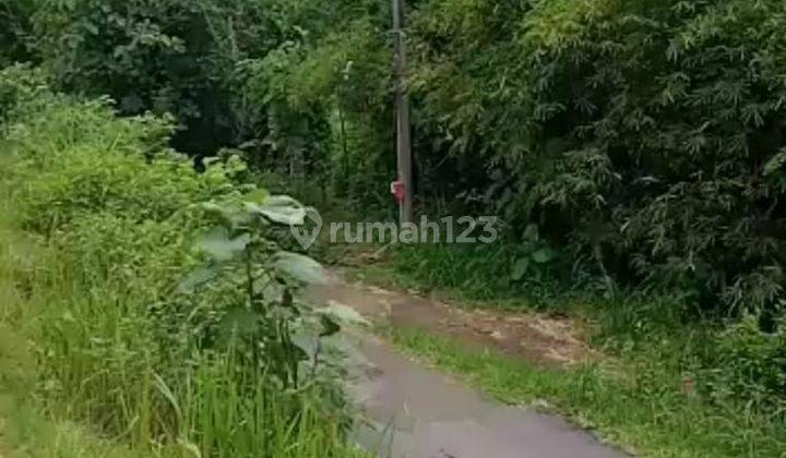 Dijual Tanah Sangat Murah Dekat Daerah Wisata Alam Kulonprogo Yogyakarta 7