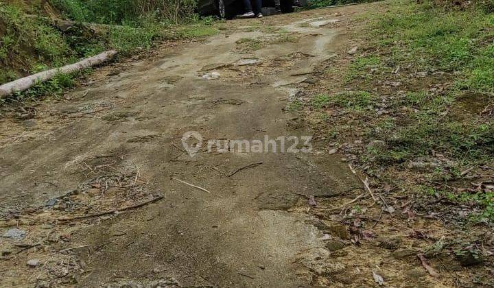 Dijual Tanah Sangat Murah Dekat Daerah Wisata Alam Kulonprogo Yogyakarta 10