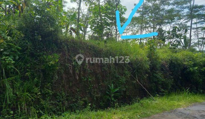 Dijual Tanah Sangat Murah Dekat Daerah Wisata Alam Kulonprogo Yogyakarta 13