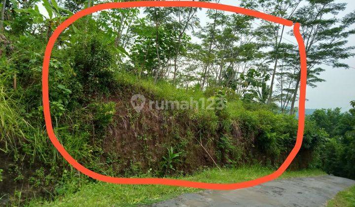 Dijual Tanah Sangat Murah Dekat Daerah Wisata Alam Kulonprogo Yogyakarta 14
