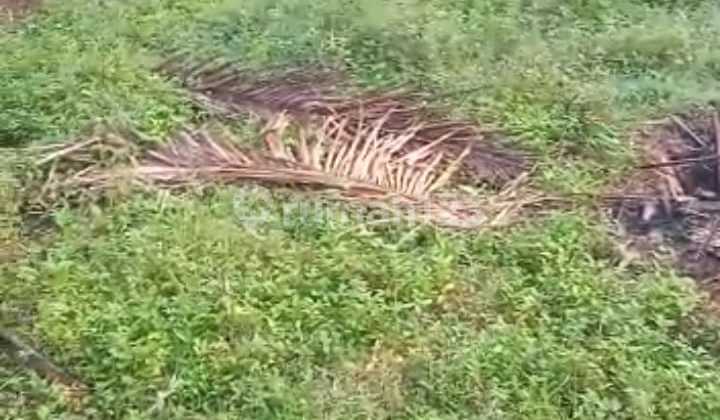 Dijual Tanah Murah di Jalan Daendels Dekat Bandara Yogyakarta 6
