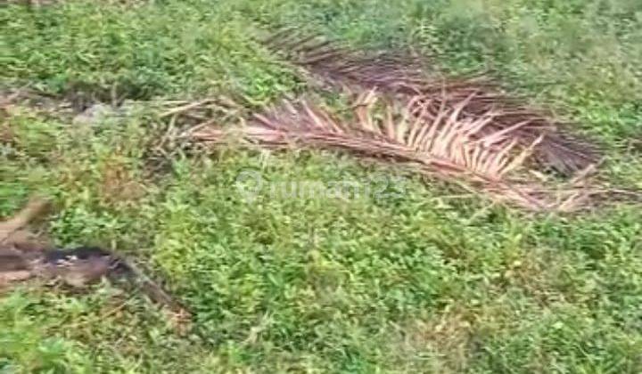 Dijual Tanah Murah di Jalan Daendels Dekat Bandara Yogyakarta 9