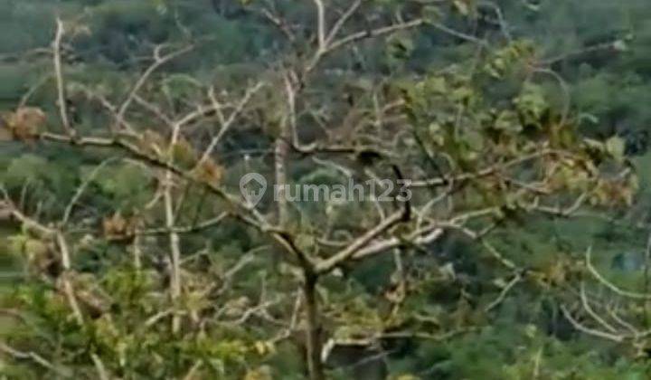 Dijual Tanah Murah di Puncak Bukit View Laut Dan Bandara Yogyakarta 8