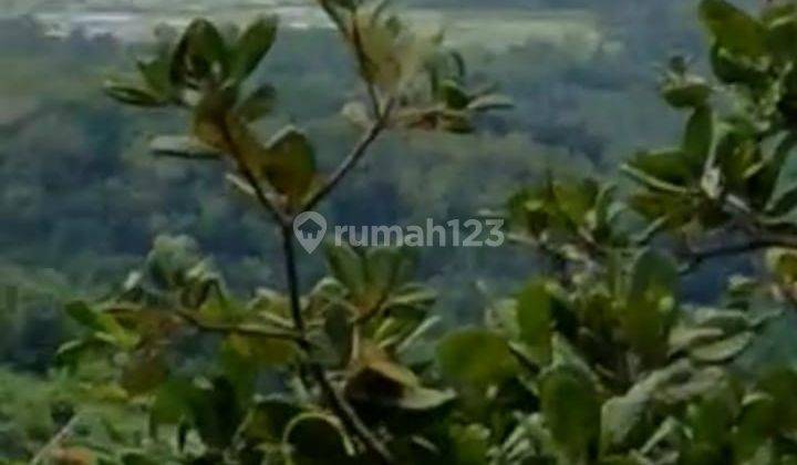 Dijual Tanah Murah di Puncak Bukit View Laut Dan Bandara Yogyakarta 10
