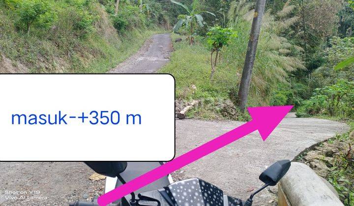 Dijual Tanah Murah Dekat Bandara Yogyakarta Hanya 99 Ribu Permeter 1