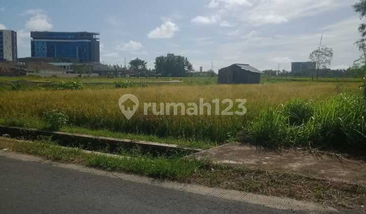 Dijual Tanah Murah Dekat Bandara Yogyakarta View Sawah Dan Bukit Menoreh 1