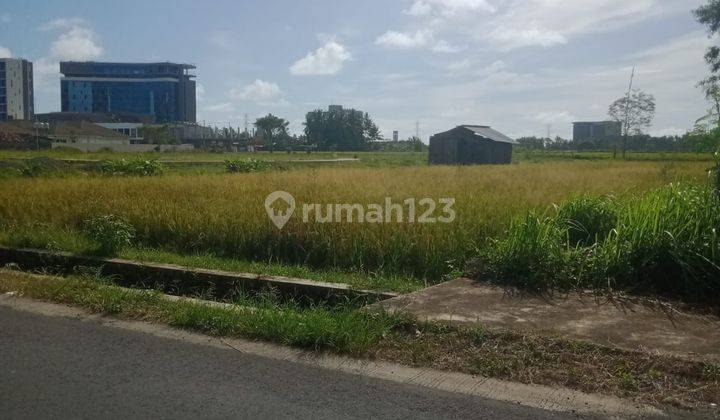 Dijual Tanah Murah Dekat Bandara Yogyakarta View Sawah Dan Bukit Menoreh 3