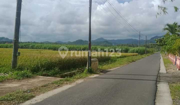 Dijual Tanah Murah Dekat Bandara Yogyakarta View Sawah Dan Bukit Menoreh 7