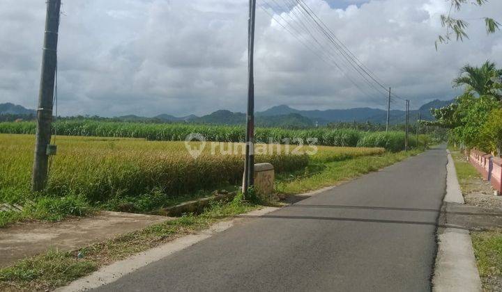 Dijual Tanah Murah Dekat Bandara Yogyakarta View Sawah Dan Bukit Menoreh 13