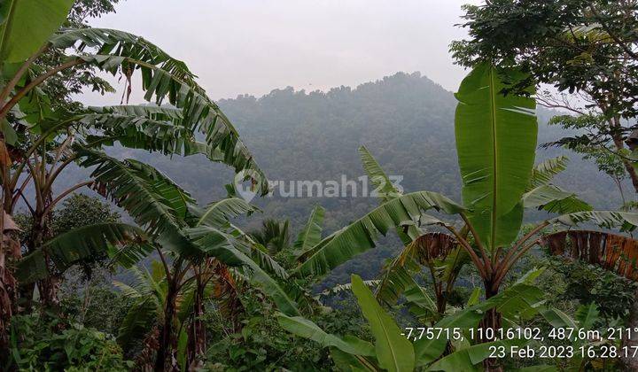 Dijual Tanah Murah Dekat Goa Kiskendo View Bukit Menoreh di Yogyakarta 8