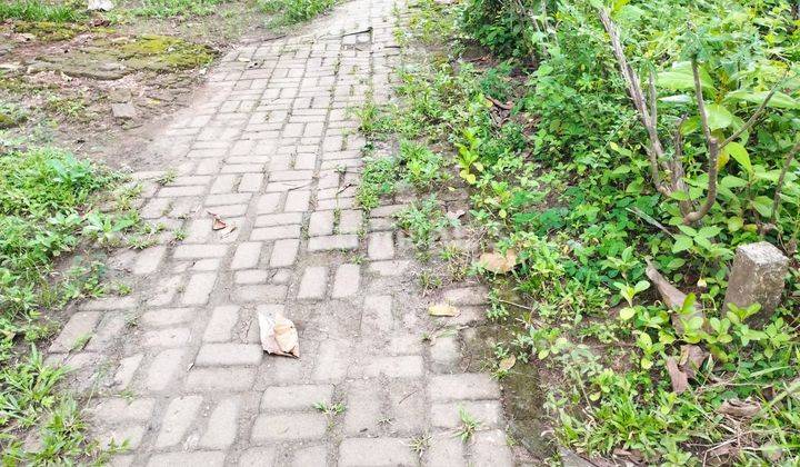 Dijual Tanah Pekarangan Murah di Bawah Njop di Sebelah Kampus Uny 8