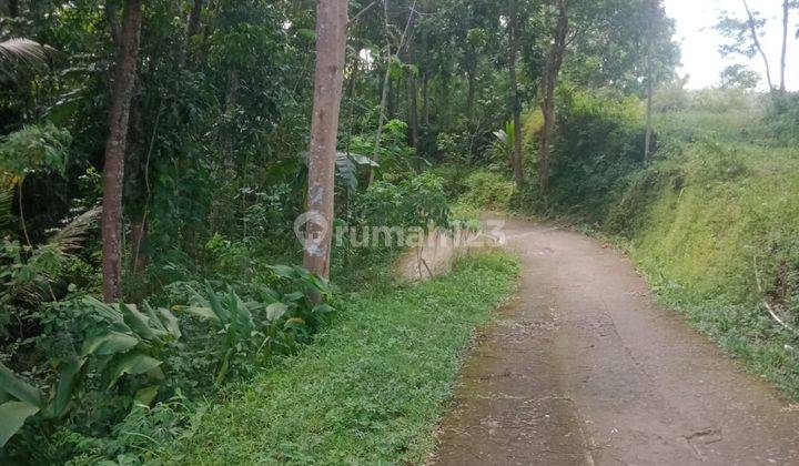 Dijual Tanah Pekarangan Harga Murah Dekat Waduk Sermo Yogyakarta 4