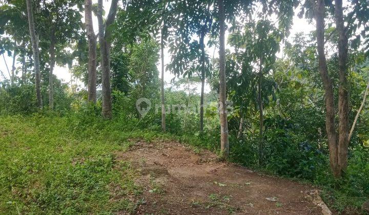 Dijual Tanah Pekarangan Harga Murah Dekat Waduk Sermo Yogyakarta 6