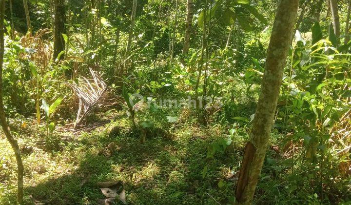 Dijual Tanah Pekarangan Harga Murah Dekat Waduk Sermo Yogyakarta 9