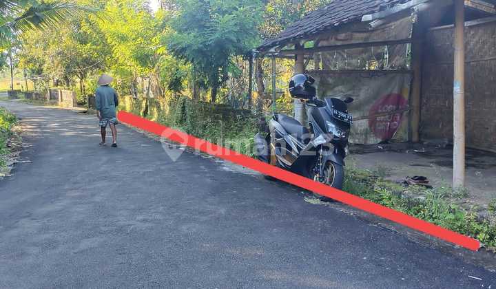 Dijual Tanah Pekarangan Harga Murah Dekat Daerah Wisata di Yogyakarta 2