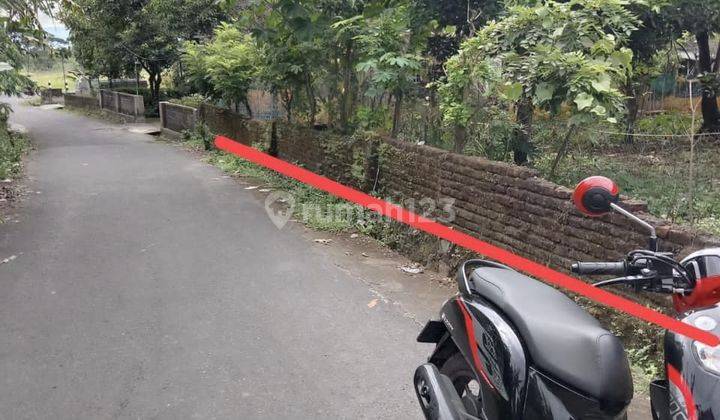 Dijual Tanah Pekarangan Harga Murah Dekat Daerah Wisata di Yogyakarta 3