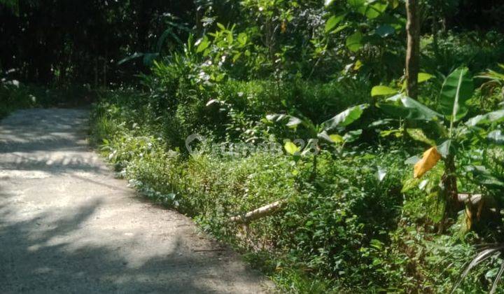 Dijual Tanah Pekarangan Murah View Alam Pedesaan Dekat Bandara di Yogyakarta 4