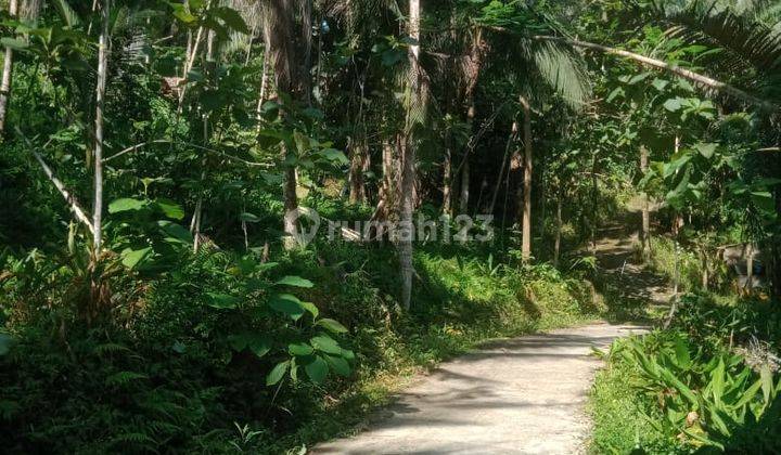 Dijual Tanah Pekarangan Murah View Alam Pedesaan Dekat Bandara di Yogyakarta 6