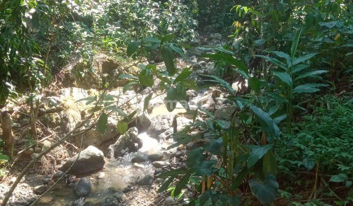Dijual Tanah Pekarangan Murah View Alam Pedesaan Dekat Bandara di Yogyakarta 14