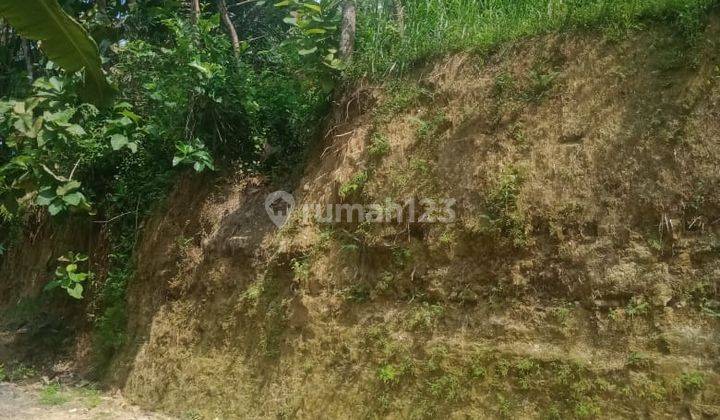 Dijual Tanah Pekarangan Murah View Alam Pedesaan Dekat Bandara Yogyakarta 5