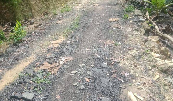 Dijual Tanah Pekarangan Murah View Alam Pedesaan Dekat Bandara Yogyakarta 11