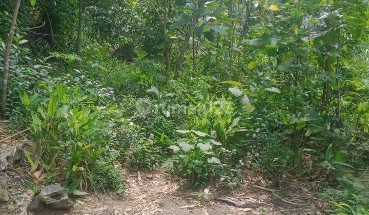Dijual Tanah Pekarangan Murah View Alam Pedesaan Dekat Bandara Yogyakarta 12