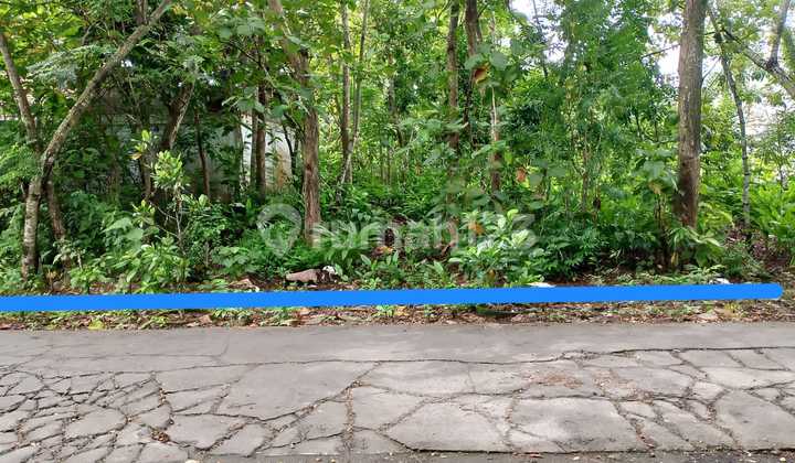 For Sale: Southern Yard Land, UMY Campus Area, Tamantirto, Kasihan, Bantul For Sale: Southern Yard Land, UMY Campus Area, Tamantirto, Kasihan, Bantul