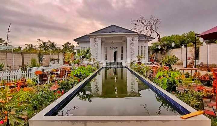 Dijual Murah Rumah Konsep Villa Model Kolonial Full Furnished Taman Luas di Utara Pasar Turi Sleman Yogyakarta