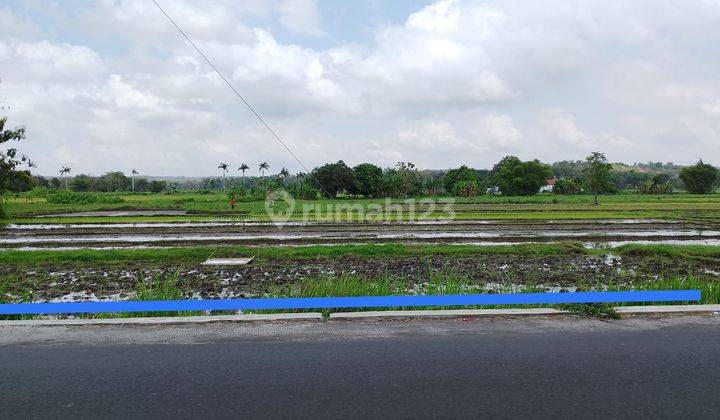 Ijual Tanah Pekarangan Harga Murah Dekat Umy View Sawah di Yogyakarta  2