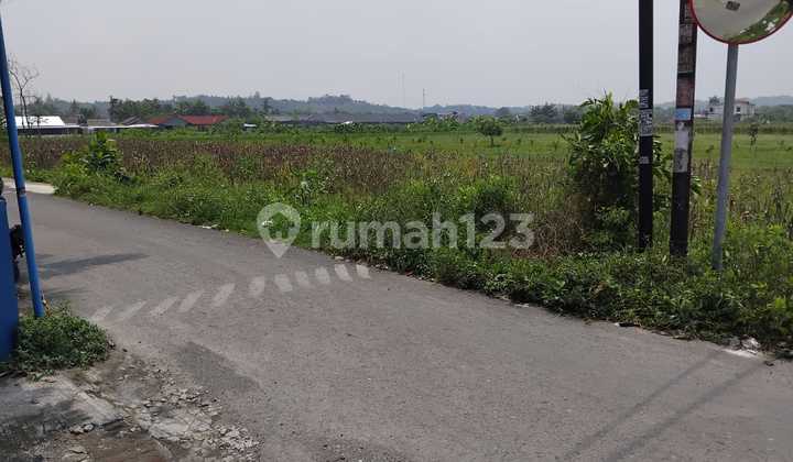 Cheap Land for Sale on Asphalt Roadside Near UMY Campus in Yogyakarta Cheap Land for Sale on Asphalt Roadside Near UMY Campus in Yogyakarta