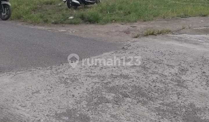 Dijual Murah Tanah Pekarangan di Barat Kampus Umy Yogyakarta Dijual Murah Tanah Pekarangan di Barat Kampus Umy Yogyakarta