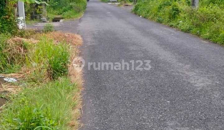 For Sale, Cheap Priced Land, Asphalt Road Access, West of UMY Yogyakarta For Sale, Cheap Priced Land, Asphalt Road Access, West of UMY Yogyakarta