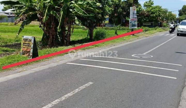 Dijual Tanah Pekarangan Harga Super Murah di Depan SMA Muhammadiyah Yogyakarta 1