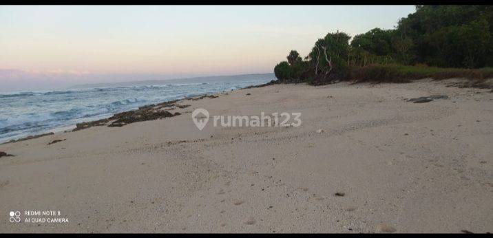 Dijual Tanah Pinggir Pantai Mamboro Sumba Nusa Tenggara Timur  2
