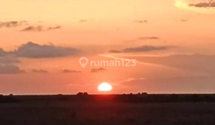 Dijual Tanah Pinggir Pantai Mamboro Sumba Nusa Tenggara Timur  4