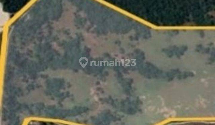 Dijual Cepat Tanah Di Nusa Tenggara Timur   1