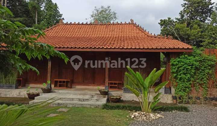 INVEST IN A SPACIOUS HOUSE NEAR GADING GUNUNGKIDUL AIRFIELD INVEST IN A SPACIOUS HOUSE NEAR GADING GUNUNGKIDUL AIRFIELD