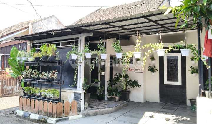 Rumah Murah, Siap Huni Semi Furnish Dalam Perum di Potorono