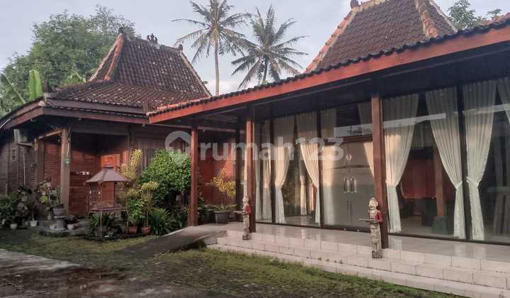 RUMAH LUAS DIJUAL MURAH DI SEDAYU BANTUL DEKAT UNIV MERCUBUANA
