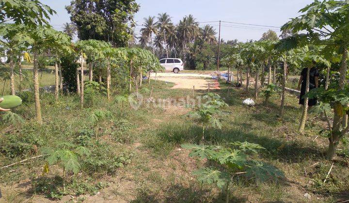 Dijual Tanah SHM Murah Di Srandakan Bantul 1