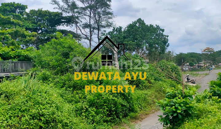 LAHAN JUAL LUAS 40 ARE ZONA PINK LOKASI PADANG GALAK LAHAN JUAL LUAS 40 ARE ZONA PINK LOKASI PADANG GALAK