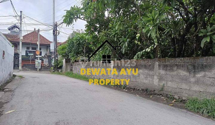 LAHAN LUAS 245M2 POSISI HOOK AKSES 5 METER DI PEDUNGAN 1