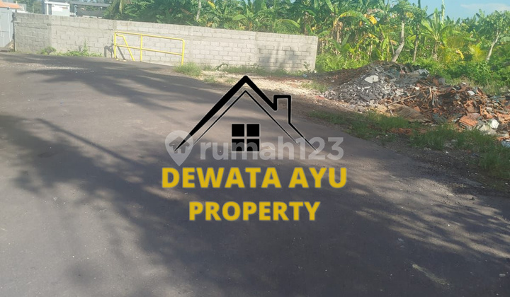 Lahan Jual 2 Are Hadap Selatan Kawasan Perumahan di Gajah Sura