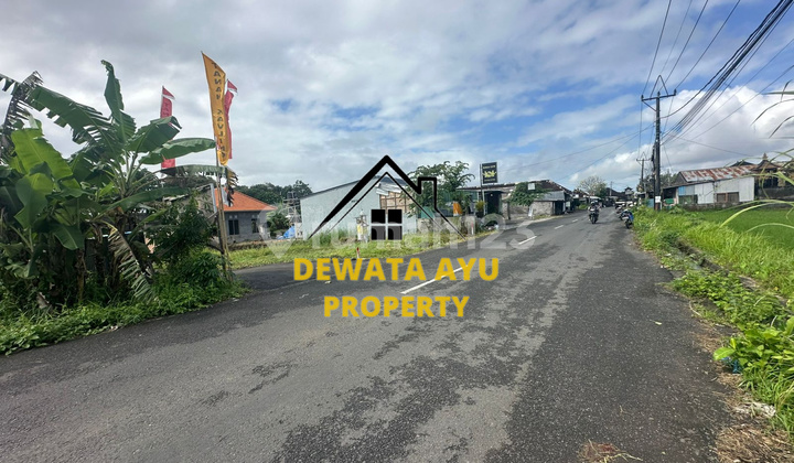 LAND AREA 1300M2 YELLOW ZONE LOCATION BY THE ROAD IN BERINGKIT