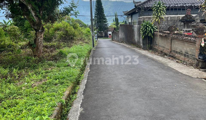 Lahan Premium Zona Kuning Luas 9 Are Cocok untuk Villa di Bedugul
